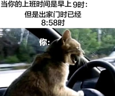 图片上方文字描述了职场人常见的紧急场景：上班时间为早上9点，却在8点58分才出家门。下方配图是一只猫坐在汽车驾驶座上，前爪搭在方向盘上，嘴巴大张，表情焦急地注视着前方，仿佛正在赶时间开车狂奔。通过拟人化的猫咪形象，幽默地展现了人们迟到时的慌张状态。