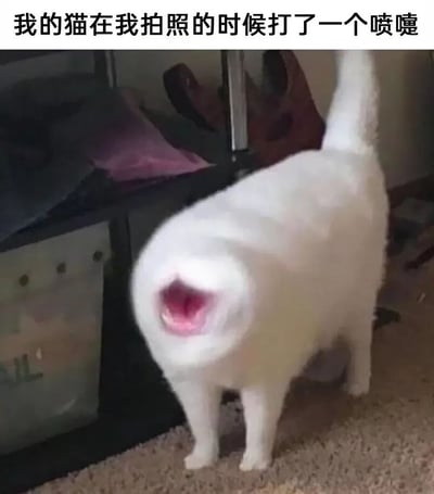 一只白色猫咪在室内环境中，正处于打喷嚏的瞬间被拍下。猫咪站立在地毯上，身体微微前倾，嘴巴张得很大，露出粉红色的口腔内部，尾巴向上翘起。背景中可以看到部分家具和物品。图片上方配有文字说明：'我的猫在我拍照的时候打了一个喷嚏'，记录了这个意外又有趣的瞬间。