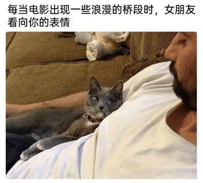 图片展示了一位胡子男性坐在沙发上，一只灰猫趴在他的胸前，抬头用期待的眼神注视着他。图片上方配有文字：'每当电影出现一些浪漫的桥段时，女朋友看向你的表情'。这张梗图通过猫咪期待的表情幽默地模仿了女朋友在观看浪漫电影场景时看向伴侣的神情，形成一种有趣的类比和反差萌。