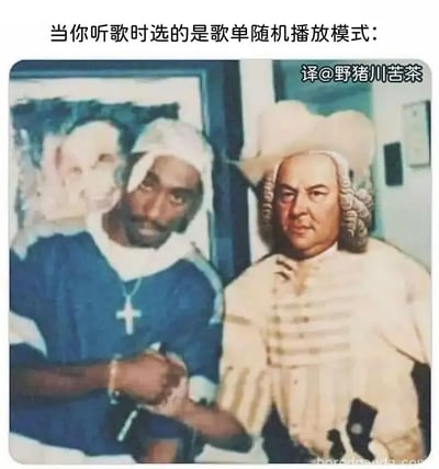 这张梗图用握手照表现听歌时用歌单随机播放模式的荒谬感。一边是穿着现代嘻哈风格服饰的人，另一边是穿着古典欧式贵族服装的人，两人正握手，形成鲜明对比。图片配文指出当歌单随机播放时常常有风格极端差异的情况，幽默夸张了这一现象。整体诙谐，视觉反差强烈，属于典型搞笑风格碰撞梗。没有谐音或暗示，仅以服饰风格对撞取乐。