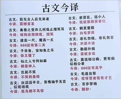 图片展示了一张题为“古文今译”的趣味列表，将多句经典古文与现代网络用语、口语化表达进行搞笑对应翻译。例如“前无古人后无来者”被译为“震撼首发”，“禽兽之变诈几何哉止增笑耳”调侃成“啥狗还想阴我，招笑”，“道高一尺，魔高一丈”对应“666还有第二关”，“鹤发童颜”戏称为“白毛萝莉”等。整体风格轻松诙谐，通过反差感制造幽默效果，让严肃的古文变得接地气。
