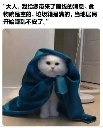 图片上方配有文字“大人，我给您带来了前线的消息。食物碗是空的，垃圾箱是满的，当地居民开始躁乱不安了。”，下方是一只被蓝色布料包裹着身体的白色猫咪，它端正坐着，眼神严肃，仿佛一位正在向上级汇报紧急情况的信使。通过拟人化的手法，将猫咪的日常需求（空食碗、满垃圾桶）夸张成“前线紧急报告”，营造出幽默搞笑的效果。