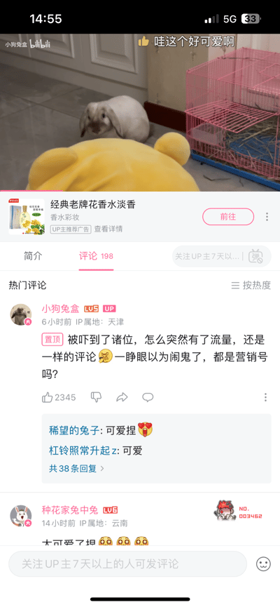 这是B站（bilibili）UP主「小狗兔盒」的宠物视频截图，视频画面里一只垂耳兔趴在地面，旁边是黄色玩偶和粉色兔笼。页面下方是视频的评论区，UP主置顶评论表示自己被突然到来的流量吓到，疑惑是不是营销号导致的；热门评论里都是网友夸赞兔子可爱的内容，页面还穿插了一条「经典老牌花香香水淡香」的UP主推荐广告。