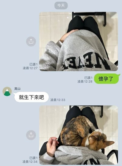 这是一张聊天记录截图，包含两张对比图片。第一张图中，一个人穿着灰色毛绒连帽衫坐在椅子上，双手放在肚子上，视觉上营造出怀孕的假象。随后发送消息“懷孕了”，对方“高山”回复“就生下來吧”。第二张图揭晓真相——原来肚子上趴着一只三色猫咪，形成了幽默的误会，让人会心一笑。