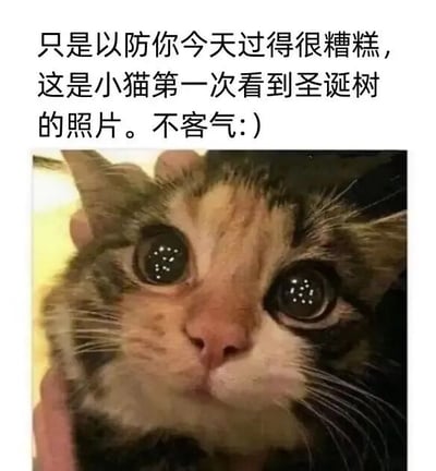 图片上方为黑色文字：“只是以防你今天过得很糟糕，这是小猫第一次看到圣诞树的照片。不客气:)”，下方是一张特写照片。照片中是一只虎斑猫，它有着圆溜溜的大眼睛，瞳孔里清晰映出许多小亮斑（疑似圣诞树上的灯光），表情好奇又无辜，被一只手轻轻捧着，头部微微上扬，似乎正专注地看着上方的圣诞树。整体画面温馨治愈，通过可爱的猫咪形象和贴心文字，旨在安慰心情不佳的人，传递温暖积极的情绪。