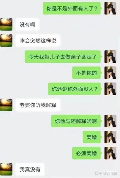 这是一段充满荒诞反转的夫妻聊天记录：
1. 妻子先发问丈夫“是不是外面有人了”
2. 丈夫否认后，妻子抛出“带儿子做亲子鉴定，结果不是你的”，以此指责丈夫出轨
3. 丈夫瞬间慌乱，连忙请求解释的机会
4. 妻子暴怒，直接提出离婚

**笑点解析**：这段对话利用逻辑错位制造乌龙笑点，正常认知里孩子与父亲无血缘关系，责任通常在女方，但妻子却反过来指责丈夫出轨，完全打乱了常规逻辑，把丈夫的思路带偏，形成荒诞的搞笑效果。