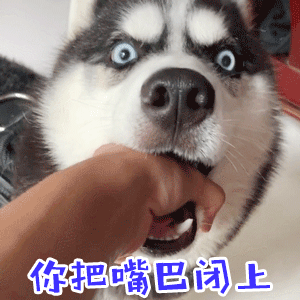 哈士奇被强行闭嘴动态表情包