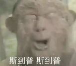 现实场景