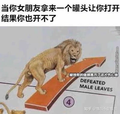 图片上方配有文字“当你女朋友拿来一个罐头让你打开结果你也开不了”，下方是一只雄狮站在向上的橙色箭头上的画面，箭头上有文字“被挫败的雄狮离开了这片伤心地”及英文“DEFEATED MALE LEAVES”。整体通过将无法打开罐头的挫败感类比为被打败的雄狮，以幽默夸张的方式展现日常生活中男生遇到小困难时的无奈处境。