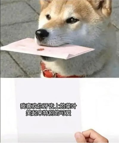 这是一张上下拼接的趣味梗图，上半部分呈现的是一只佩戴红色项圈的柴犬，它嘴里叼着一个粉色信封，神态羞涩腼腆，仿佛在传递情书；下半部分为白色背景搭配黑色文字，内容是“我喜欢你牙齿上的菜叶 笑起来特别的可爱”，用一种接地气、带着小笨拙的土味方式表达好感，将可爱的动物形象与直白又反差的表白文案结合，营造出搞笑又暖心的氛围，适合在社交场景中向心仪对象传递好感。