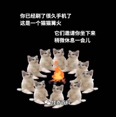 整张图以纯黑色为背景，上方配有白色文字，告知长时间刷手机的用户这是猫猫篝火，邀请用户坐下休息片刻；图中主体是多只一模一样的灰白色小猫玩偶围成圆圈，圆圈中间是橙黄色的卡通篝火图案，模拟众人围坐篝火的温馨场景；底部带有微信图标和“怪奇百科”的水印，整体风格软萌治愈，是用于提醒他人劳逸结合的趣味表情包。