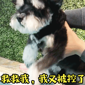狗狗被控制表情包：救救我，我又被控了
