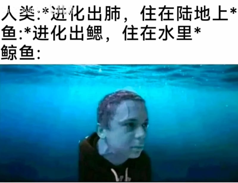 网络流行水下男孩表情包
