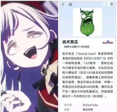 这是一张左右拼接的趣味梗图，左侧是一位紫发动漫少女，做出夸张的惊讶表情，眼睛半睁、大张着嘴，神态和右侧《植物大战僵尸2》里的战术黄瓜高度相似；右侧是百度百科中战术黄瓜的词条页面，详细介绍了这个游戏道具的功能和设定。
两者表情的高度相似形成了有趣的联动效果，十分搞笑。