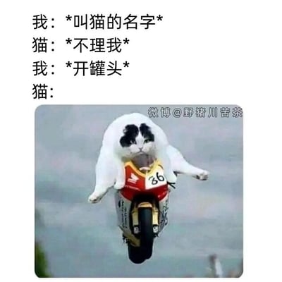 这是一张图文混排的搞笑趣味梗图，通过文字对话搭配P图的形式，展现猫咪对主人召唤和食物的截然不同的反应。上方文字依次描述：主人呼唤猫咪的名字时，猫咪完全不理会；当主人提及“开罐头”时，下方配图是一只奶牛猫被合成到赛车上，做出飞速前进的夸张动作，生动又幽默地放大了猫咪作为“吃货”的属性，用强烈的态度反差制造出搞笑效果，精准戳中养猫人群的日常共鸣，让人觉得真实又好笑。