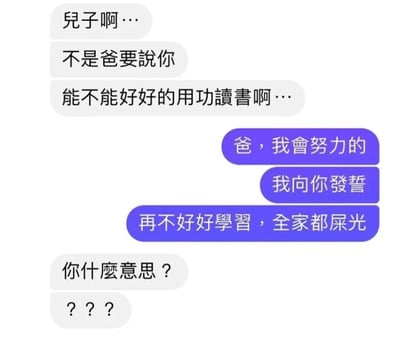 一张模拟父子聊天对话的梗图，父亲通过灰色气泡对话框劝说儿子用功读书：“儿子啊…不是爸要说你，能不能好好的用功读书啊…”。儿子用紫色气泡回应承诺：“爸，我会努力的，我向你发誓”，随即抛出“再不好好学习，全家都屎光”的粗俗誓言。最后父亲以“你什么意思？”和“???”的灰色气泡表达强烈困惑。通过儿子誓言中突然的粗俗转折制造幽默反差效果。