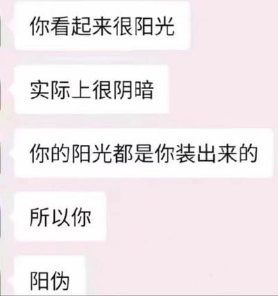 图片背景为浅粉色，上方垂直排列五个白色文字气泡，内容依次为：“你看起来很阳光”“实际上很阴暗”“你的阳光都是你装出来的”“所以你”“阳伪”。通过递进式文字制造反差，最终以“阳伪”一词收尾，该词是“阳光”与“虚伪”的谐音双关，讽刺表面阳光开朗、内心却阴暗虚伪的人。
