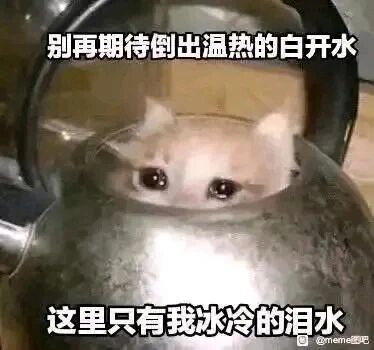 这是一张经过P图改编的静态表情包，创作者将一只双眼含泪、神态委屈的小猫头部合成到金属水壶内部，仅露出小猫的脑袋。图片搭配上下两行文字，上方为“别再期待倒出温热的白开水”，下方为“这里只有我冰冷的泪水”，以拟人化的手法，借小猫的委屈状态和文字内容，表达内心未被满足的期待与随之而来的失落、难过情绪，用幽默的形式抒发负面感受，适合用于吐槽自己的失意处境。图片右下角带有“@meme星吧”的水印标识。