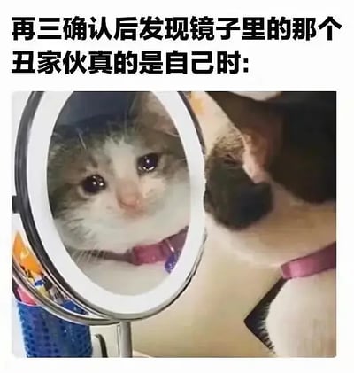 这是一张搞笑梗图，上半部分用大大的黑体字写着：“再三确认后发现镜子里的那个丑家伙真的是自己时：”，下方是一只戴着粉色项圈的猫对着镜子凝视，表情若有所思。整个场景通过猫的拟人化动作、表情，幽默展现人们照镜子时对自己容貌不自信的自嘲情绪，适合用来自黑或和朋友调侃。无谐音梗、双关。