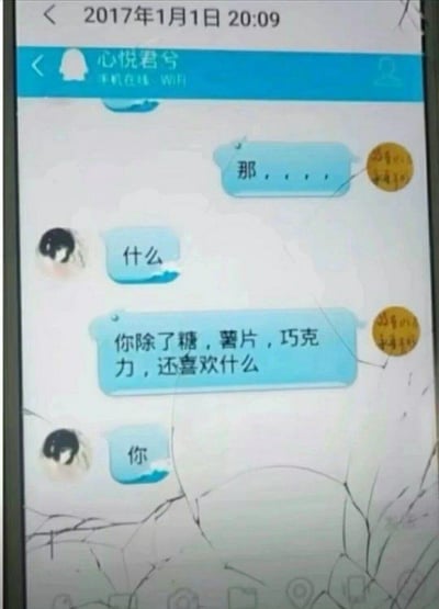 这是一张2017年1月1日20:09的QQ聊天记录截图，手机屏幕底部有明显的碎裂痕迹。聊天界面顶部显示对方昵称“心悦君兮”，状态为手机在线WiFi。对话中，提问者先以“那，，，”开启话题，在对方询问“什么”后，提问者问道“你除了糖，薯片，巧克力，还喜欢什么”，对方仅用一个字“你”回应，直白又甜蜜地表达了对提问者的喜爱，整个对话充满了青涩又心动的恋爱氛围，屏幕的碎裂痕迹也为这个珍贵的甜蜜瞬间增添了特殊的印记。