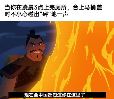 这是一张针对日常社死场景创作的搞笑梗图，上方文字设定场景：“当你在凌晨3点上完厕所，合上马桶盖时不小心碰出‘砰’地一声”，下方使用迪士尼动画《花木兰》里愤怒的军营军官截图，搭配夸张的文字“现在全中国都知道你在这里了”，用放大化的调侃，精准表现出深夜里任何一点声响都会被格外放大，当事人担心被所有人注意到的尴尬社死心理，引发有类似经历的人的共鸣。