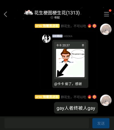 这是一张名为“花生梗图梗生花(1313)”的社群聊天截图，群成员“饱暖思进取”两次发送群提示语“群花生，不可以吃 🔥🥰”；群成员“HISOKA”转发了群友“卡卡”的消息，卡卡于20:37发送了一张改编自动画角色的梗图，图中是动画《天才小子吉米》的主角吉米·中子，配文英文“This person is gay”，下方有黑色箭头指向空白区域，卡卡同时配文“不”；HISOKA配文“@卡卡 偷了，感谢”，表示自己保存了这张梗图；随后有群成员发送“gay人者终被人gay”的玩梗内容，呼应梗图的调侃意味，整体呈现出网络社群里轻松玩梗、分享梗图的氛围。