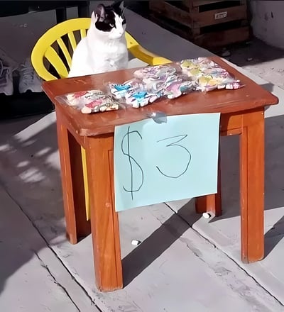 一只黑白相间的猫咪坐在黄色塑料椅上，身后是一张摆满塑料包装小商品的木桌，桌子前方挂着一张手写的浅蓝色标牌，上面用黑色马克笔写着“$3”，猫咪神情平静地注视着前方，仿佛一位认真经营小生意的摊主。整个场景充满生活气息与萌趣感，猫咪的姿态和摆摊的设定形成有趣的反差萌。