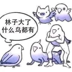 这是一张P图改编的卡通风格图文混排图，带有对白气泡。画面中共呈现五只卡通鸟，其中右下角的鸟被拟人化处理，搭配了人类的下半身，双手叉腰，姿态显得傲慢又怪异；左上角的两只鸟呈飞行姿态，面露惊讶神情；左下角的鸟安静站立，神态平静；中间下方的鸟蹲在地上。左侧站立的鸟的对白气泡内写着俗语‘林子大了什么鸟都有’，用这句广为流传的俗语来调侃图中这只不合常理的拟人化鸟，以幽默的视觉化方式表达‘环境复杂，什么样的人都有’的含义，属于典型的网络搞笑梗图，常被用来吐槽生活中遇到的奇葩人或事。
