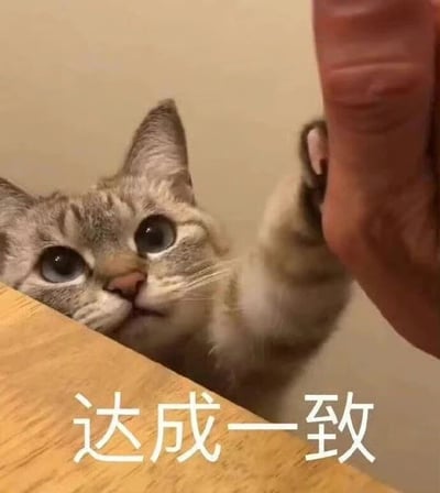 一只表情好奇的猫咪正伸出爪子触碰人类的手指，眼神专注而可爱。图片下方配有文字“达成一致”，形成一种拟人化的幽默效果，仿佛猫咪与人通过这个简单的触碰动作达成了某种共识或协议。