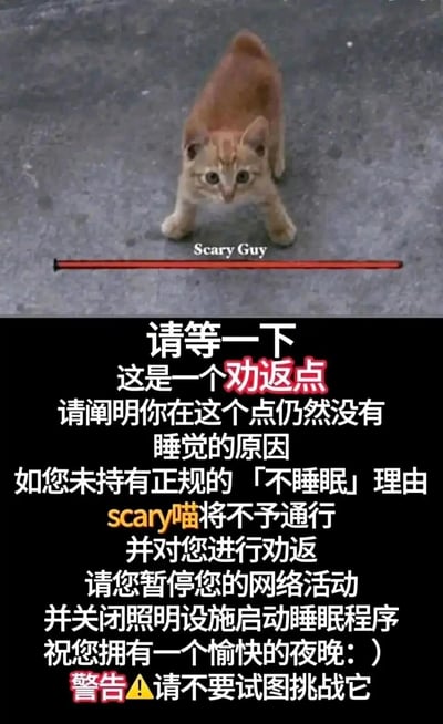 这是一张针对熬夜人群制作的趣味劝返梗图，上半部分是一只炸毛、四肢分开摆出警惕威慑姿态的橘色小猫，下方标注英文“Scary Guy”和一条红色横线，将小猫塑造成“不好惹”的劝返者形象；下半部分为黑色背景的中文文字，以“劝返点”的正式又趣味的口吻，要求熬夜者阐明深夜未睡觉的原因，若没有正规的“不睡眠”理由，就会被这只“scary喵”劝返，同时要求停止网络活动、关闭照明启动睡眠程序，最后还带有警告不要挑战它的文字。整体用可爱的动物形象搭配严肃又幽默的劝返语气，调侃熬夜行为，传递出提醒人们早点休息的暖心意图，风格轻松有趣，贴合年轻人的社交语境。