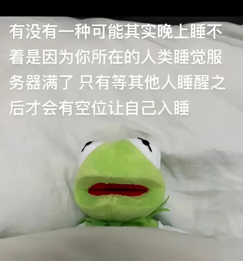 布偶秀