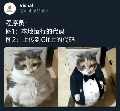 这是一张发布在X（原Twitter）平台的程序员专属梗图，由用户Vishal创作。图中通过左右两张同一只三色花猫的图片进行对比：左侧猫咪毛发杂乱、神态萎靡，对应程序员本地运行的代码——未经规整、处于随意运行的状态；右侧猫咪被P上了正式的礼服，显得整洁正式，对应上传到Git平台的代码——经过整理、优化，以规范的面貌提交。该梗图用幽默的方式精准还原了程序员在代码版本管理时的真实操作，引发程序员群体的共鸣。