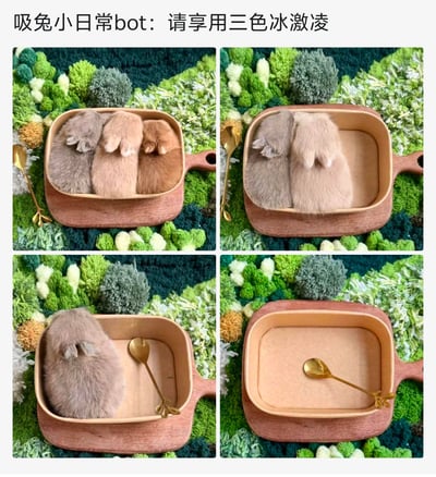 这是一组充满创意的连环宠物拍摄图，将三只不同毛色（灰色、浅米色、深棕色）的小兔子放进带把手的木盘里，搭配金色小勺子，把毛茸茸的兔子们联想成三色冰淇淋，模拟出“享用冰淇淋”的趣味过程：
1. 第一张图：三只兔子挤在盘中，完整呈现“三色冰淇淋”的可爱模样；
2. 第二张图：深棕色兔子“消失”，剩下两只兔子，仿佛其中一份冰淇淋被吃掉；
3. 第三张图：浅米色兔子也“离开”，只剩灰色兔子；
4. 第四张图：最后一只兔子也离开，盘子空了，如同冰淇淋被全部吃完。
整体用治愈的小兔子模仿冰淇淋被食用的过程，充满软萌的治愈感和趣味性，是通过创意摆拍实现的视觉趣味效果。