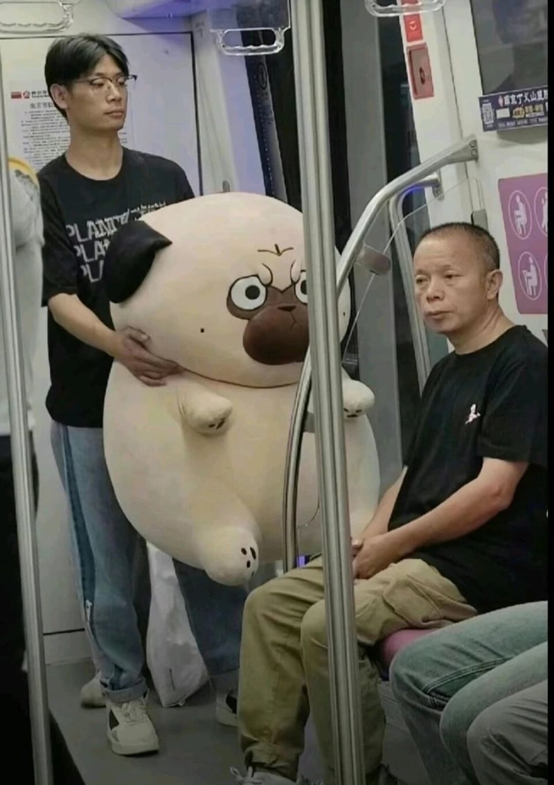 吾皇万睡