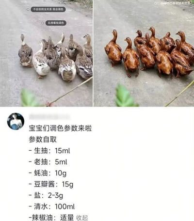 这是一张玩双关梗的搞笑对比图，整体采用左右分栏的对比结构：左半部分展示了一群站在水泥路面上的鲜活麻鸭，上方配文“不会拍照没关系 我会调色”“右滑看我调色”，用修图爱好者的常用话术做铺垫；右半部分呈现的鸭子和左图站位完全一致，但被P成了油亮红润的酱卤熟鸭，仿佛是修图调色后的效果。图片下半部分假装分享修图调色参数，实际列出的是制作卤鸭的调味料配方，将修图领域调整画面色彩的“调色”和烹饪领域给食物上色调味的“调色”两个概念混淆，制造出荒诞的笑点。