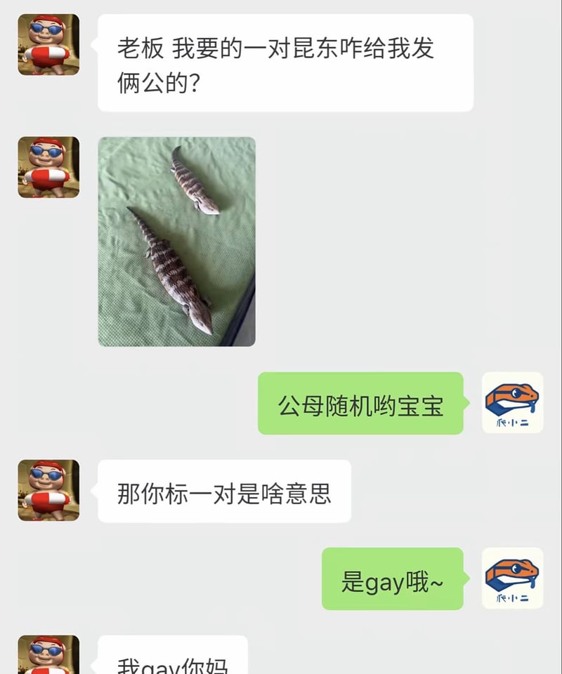爬宠商家品牌形象