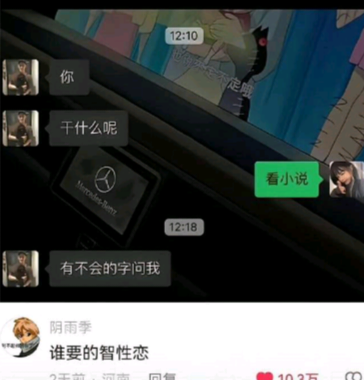 这是一张由聊天记录截图和抖音评论截图拼接而成的梗图。上方聊天记录中，一方先问“你 干什么呢呢”，对方回复“看小说”，随后前者接话“有不会的字问我”，这段看似笨拙的关心被下方抖音用户“阴雨季”的评论“谁要的智性恋”调侃，将普通的互动和“智性恋”绑定，用反差感制造幽默效果，调侃了对智性恋的刻板印象，把笨拙的关心包装成另类的“智性”表现。