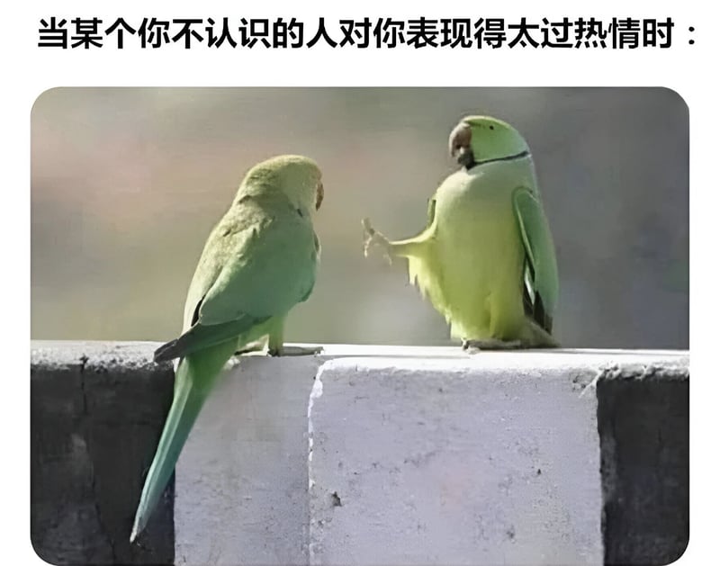绿色鹦鹉