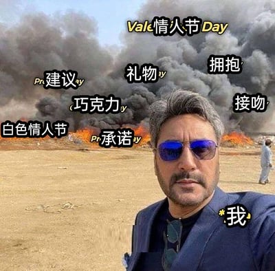这是一张用于调侃单身人士情人节处境的网络梗图。图中前景的男士被标注为“我”，他戴着蓝色墨镜，表情淡定地进行自拍；背景是一片荒芜的场地，场地内有火焰燃烧、浓烟滚滚，场地上方标注了一系列与情人节相关的元素，包括“情人节”“礼物”“拥抱”“接吻”“承诺”“巧克力”“建议”“白色情人节”等。通过将情人节相关元素置于如同灾难现场的背景中，用这种强烈的反差感，幽默地表现出单身者在情人节时，对各种情人节相关热闹事物的疏离感，以此自嘲单身状态。
