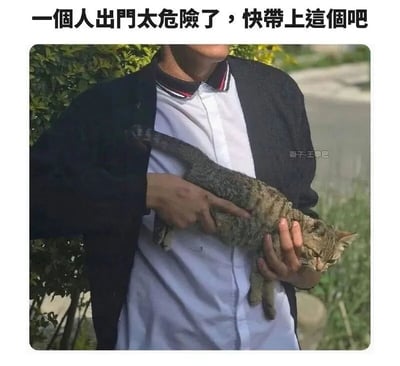 这张梗图呈现了一个人怀抱一只虎斑猫的场景，图片上方配有文字'一个人出门太危险了，快带上这个吧'。图中的猫咪看起来平静，被人稳稳抱在怀里。该梗图通过将猫咪幽默地比作'防身工具'，利用反差感制造出搞笑效果，常用于社交媒体上表达轻松幽默的情绪。