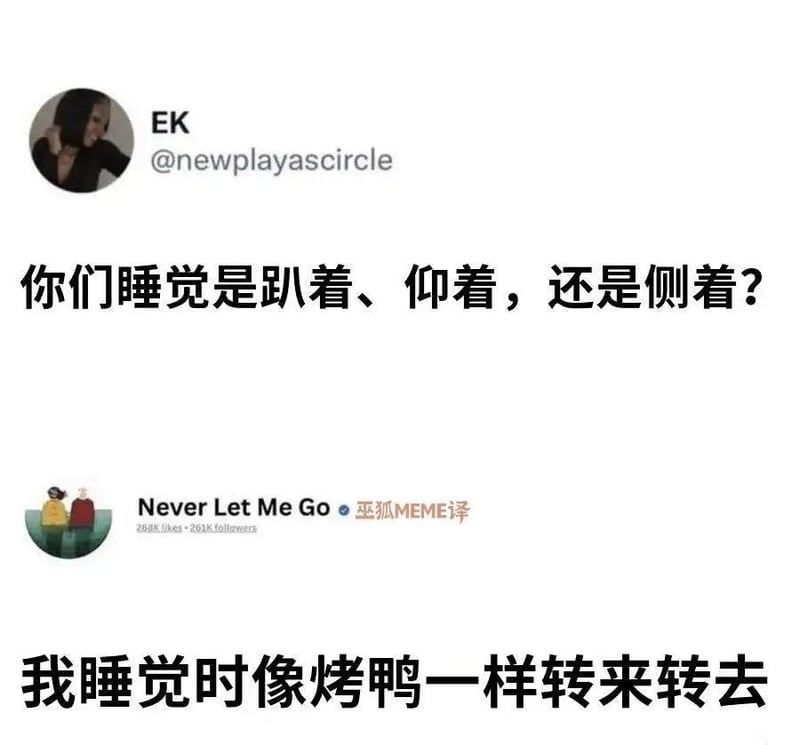 真实人物（X平台用户）