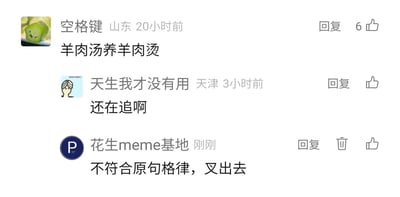 这是一张社交媒体评论区的静态截图，展示了三条用户互动评论：1. 来自山东的用户“空格键”发布了内容“羊肉汤养羊肉烫”，玩了谐音梗，符合特定接梗格律，获得6个点赞；2. 天津用户“天生我才没有用”评论“还在追啊”，未遵循接梗的格式要求；3. 账号“花生meme基地”刚刚回复，指出第二条评论不符合原句格律，要将其“叉出去”，推测这是在一个有固定接梗格式要求的meme社群中，管理员类账号负责维护接梗的规范，驳回不符合要求的评论。