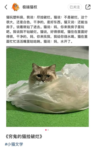 这是一张小红书平台的帖子截图，是小猫文学创始人@极端猫权发布的原创小猫文学作品。帖子上方是拟人化叙事的文字内容，讲述主人吐槽小猫捡塑料袋是捡破烂，小猫却将白色塑料袋认作干净舒适的大房子，热情邀请主人来自己的房子玩耍，还说要给主人烧水喝，最后忙完告诉主人水开了；文字下方搭配实拍图片，一只布偶猫钻进透明塑料袋中，只露出脑袋睁着圆圆的眼睛看向镜头；图片下方标注了作品标题《穷鬼的猫捡破烂》，并附带#小猫文学的话题标签。
