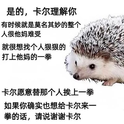一张图文结合的梗图，左侧是黑色文字，右侧是一只刺猬的图片。文字内容以第一人称