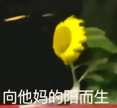 这是一张静态表情包图片，画面主体是一朵模糊的卡通向日葵，背景偏暗，图片底部配有文字‘向他妈的阳而生’。该内容改编自励志语句‘向阳而生’，通过添加脏话的方式，将原本积极的表述转化为带有暴躁、吐槽意味的情绪表达，用来宣泄在压力下不得不保持‘积极’的烦躁心态，风格幽默接地气，适合在社交场景中传递负面情绪下的自嘲感。