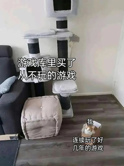 图片展示了一个有趣的生活场景对比：背景中是高大复杂的多层猫爬架，配有多个平台和猫窝，旁边文字标注为'游戏库里买了从不玩的游戏'；而前景地板上，一只猫舒适地蜷缩在普通纸箱里，被标注'我'，下方文字说明这是'连续玩了好几年的游戏'。通过猫咪宁愿选择简单纸箱而非昂贵猫爬架的行为，幽默比喻了游戏玩家'喜加一'却只玩固定几款游戏的普遍现象。