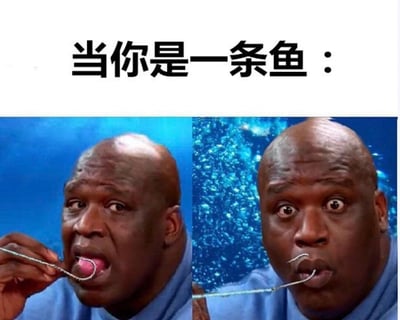 这是一张左右对比的幽默梗图，上方配有文字'当你是一条鱼：'。左侧画面中，沙奎尔·奥尼尔（Shaquille O'Neal）面对一个挂着鱼饵的鱼钩，表情好奇地伸出舌头准备去舔；右侧画面背景变为水下场景，奥尼尔眼睛瞪得很大，表情惊讶，鱼钩已经挂在了他的嘴上。图片通过奥尼尔夸张的表情变化，幽默地表现了鱼儿上钩的过程。