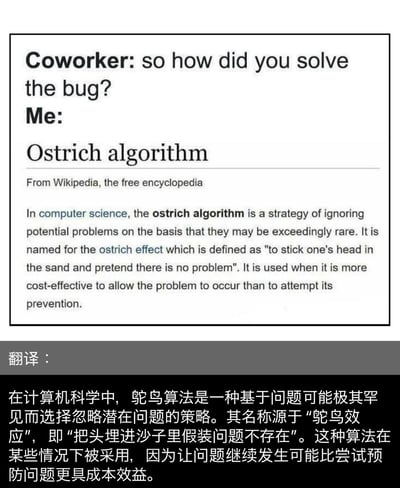 这是一张程序员职场梗图，同事询问答主如何解决了bug，答主没有直接回答，而是放出维基百科中「鸵鸟算法」的词条内容来回应。鸵鸟算法的定义是忽略潜在问题，假装问题不存在，以此调侃自己并没有真正解决bug，只是选择了摆烂、忽略问题的心态，精准戳中程序员遇到棘手bug时的无奈处境。
没有双关、谐音梗等特殊修辞，是利用专业术语的定义玩梗。