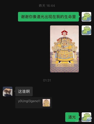 这是一张聊天记录截图，使用谐音梗制造笑点：原本土味情话里的“像一道光”被替换为清朝皇帝“道光”，青蛙头像的用户先发消息称“谢谢你像道光出现在我的生命里”，随后附上道光皇帝的朝服画像，对面金毛头像的用户没懂梗询问“这谁啊”，前者回复“道光”点明谐音梗，整体风格搞笑，利用一词多义制造反差趣味，截图右下角带有小红书水印。