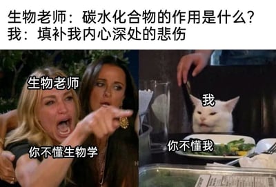 这是一张左右对比的梗图，左侧是一位表情愤怒的女性手指指向对方，标注为“生物老师”并配有文字“你不懂生物学”；右侧是一只坐在餐桌前的白猫，标注为“我”并配有文字“你不懂我”。图片顶部有文字“生物老师：碳水化合物的作用是什么？ 我：填补我内心深处的悲伤”。通过将生物学课堂上的科学问题与用食物缓解情绪的幽默回答相结合，形成了有趣的反差效果。